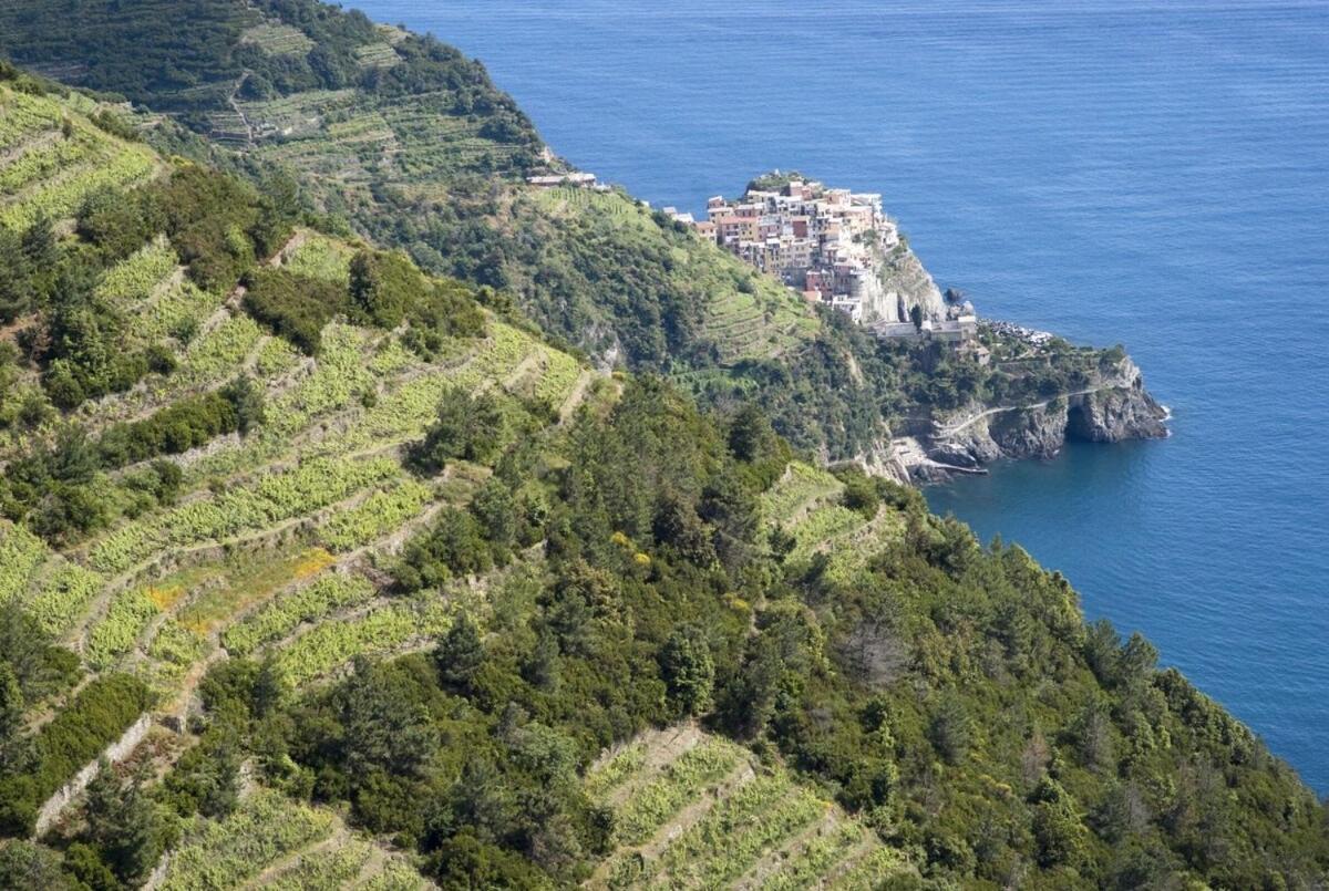 La Casa Fra Gli Ulivi Luxury Apartments With Pool Near Cinque Terre And Tuscany Monte Marcello Extérieur photo